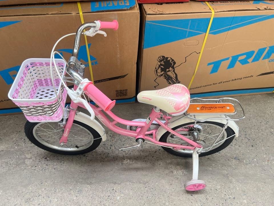 Xe đạp Bé gái 4-8 tuổi bánh 16inh