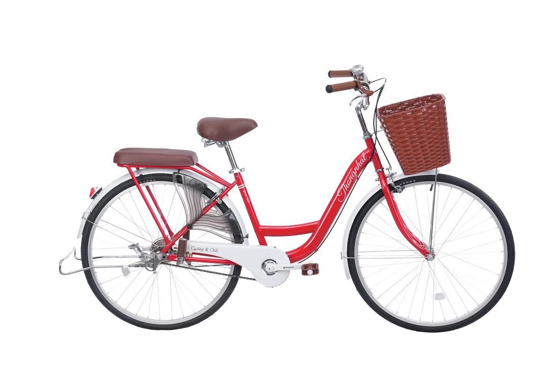 Xe đạp Thống Nhất New 24