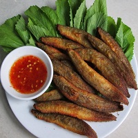 Cá đồng - Ếch - Lươn