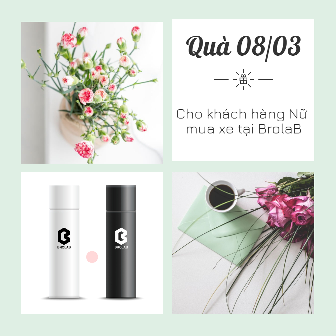 Quà Tặng Phụ Nữ Ngày 08/03