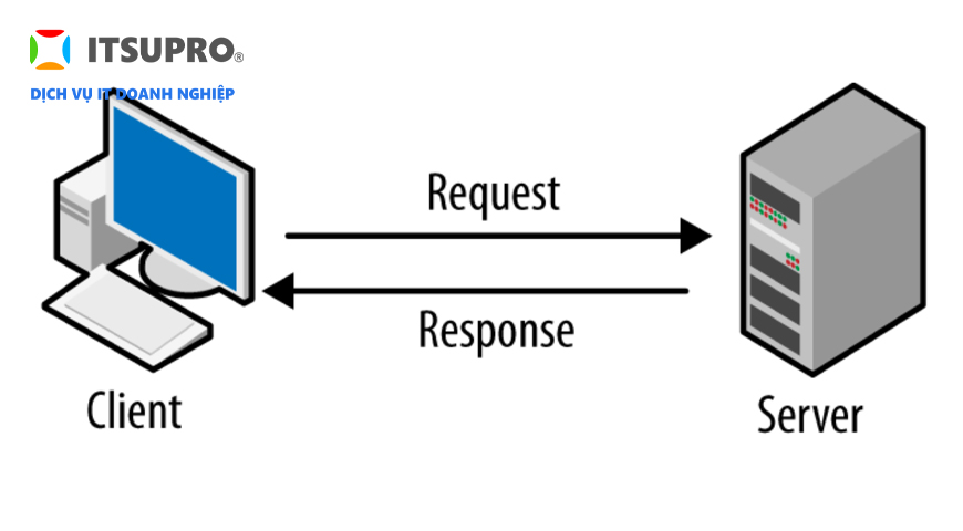 Hai thành phần chính trong một mô hình máy chủ, Client và Server