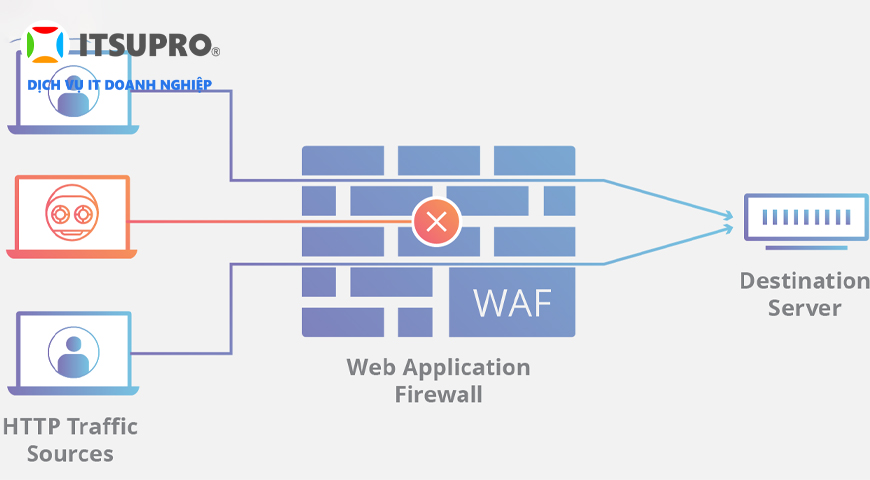 Tường lửa web sẽ được triển khai trước các ứng dụng web