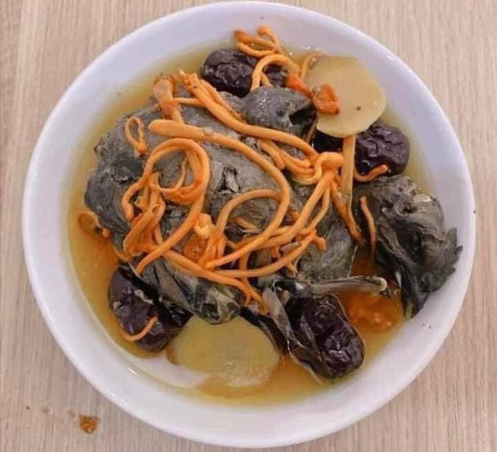 Nấm đông trùng hạ thảo nội địa Hàn Quốc