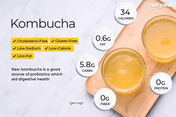 Trà kombucha Daily Kombucha