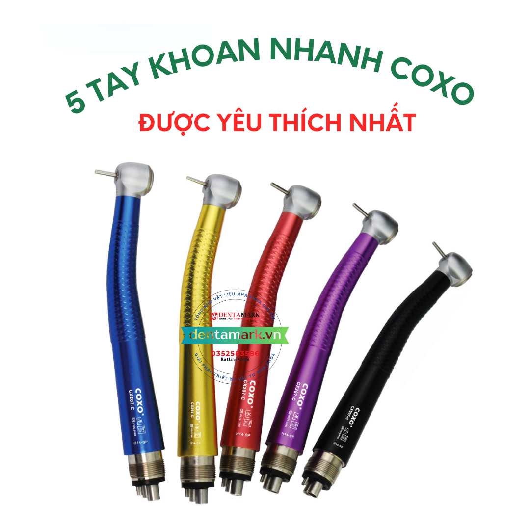 Top 5 Tay Khoan Nhanh Coxo Được Yêu Thích Nhất Năm 2025