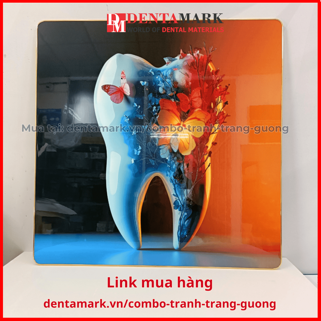 Combo tranh nha khoa tráng gương nghệ thuật siêu đẹp hình răng và ngôi nhà dentamark.vn