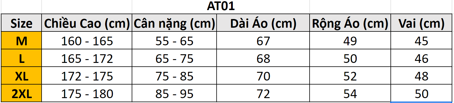 Áo thun NK viền cổ AT01