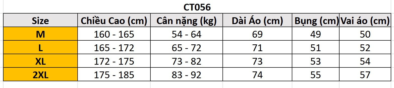 Áo Thun Thời Trang Oversize GFX CT056