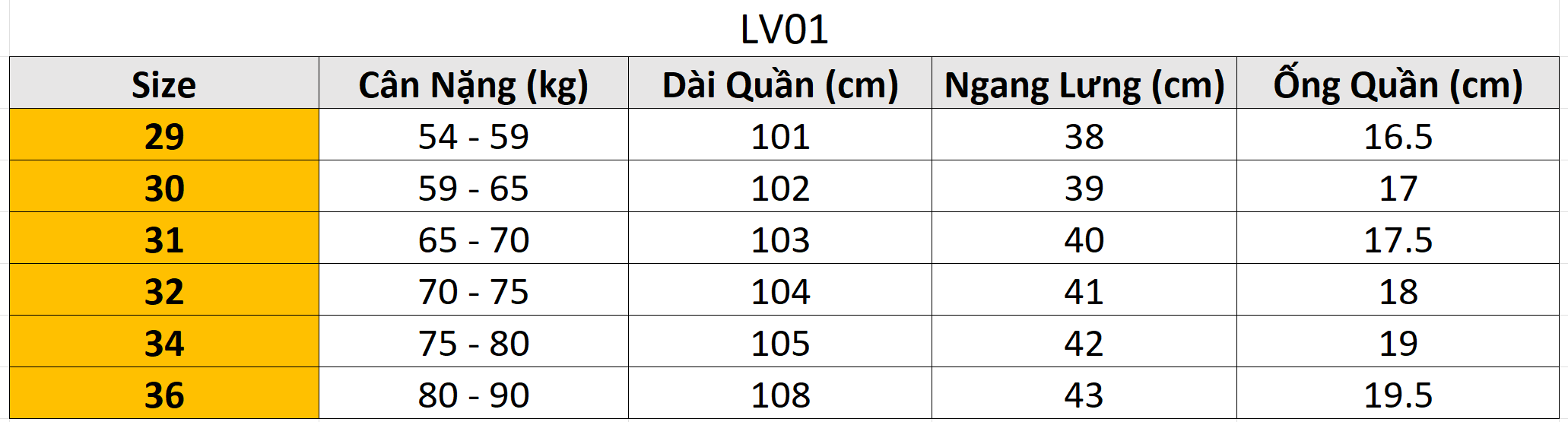 Quần Jeans dài LV LV01