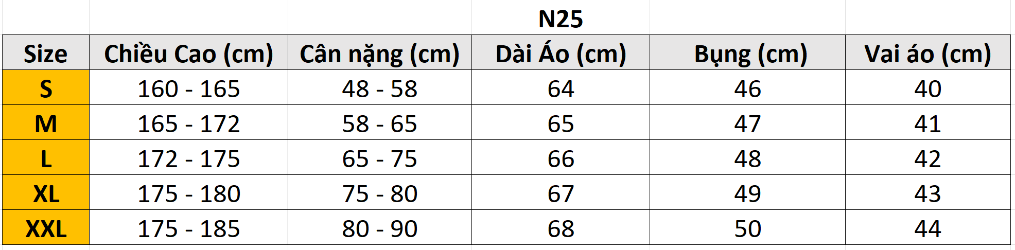 Áo thun NK Division N25
