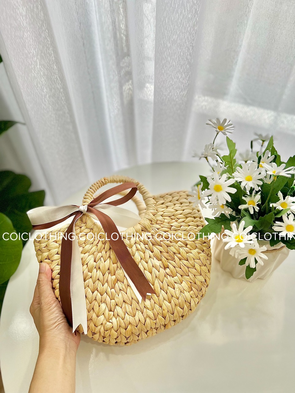 Lục bình vòm trơn