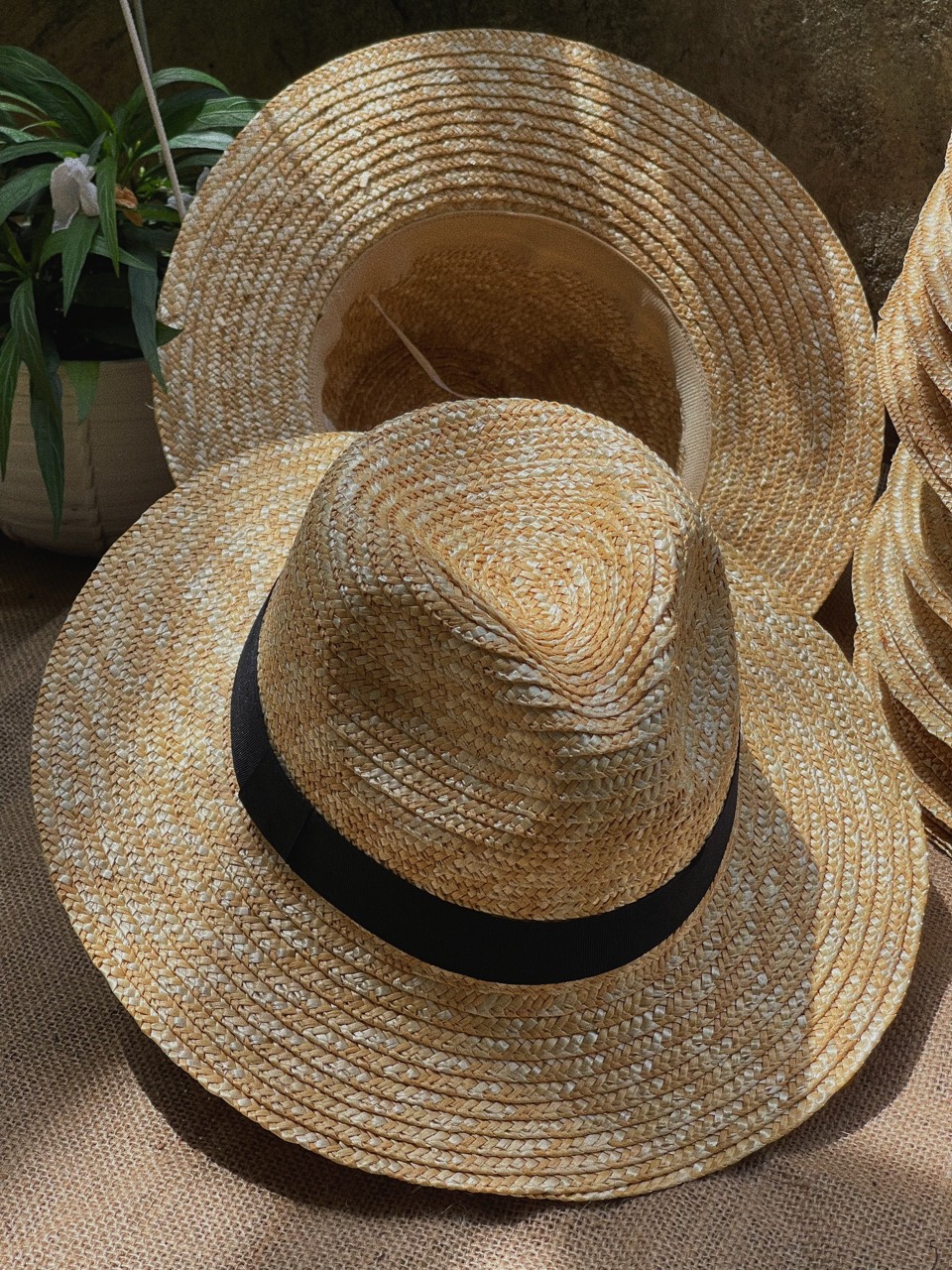 Nón cói cứng CB