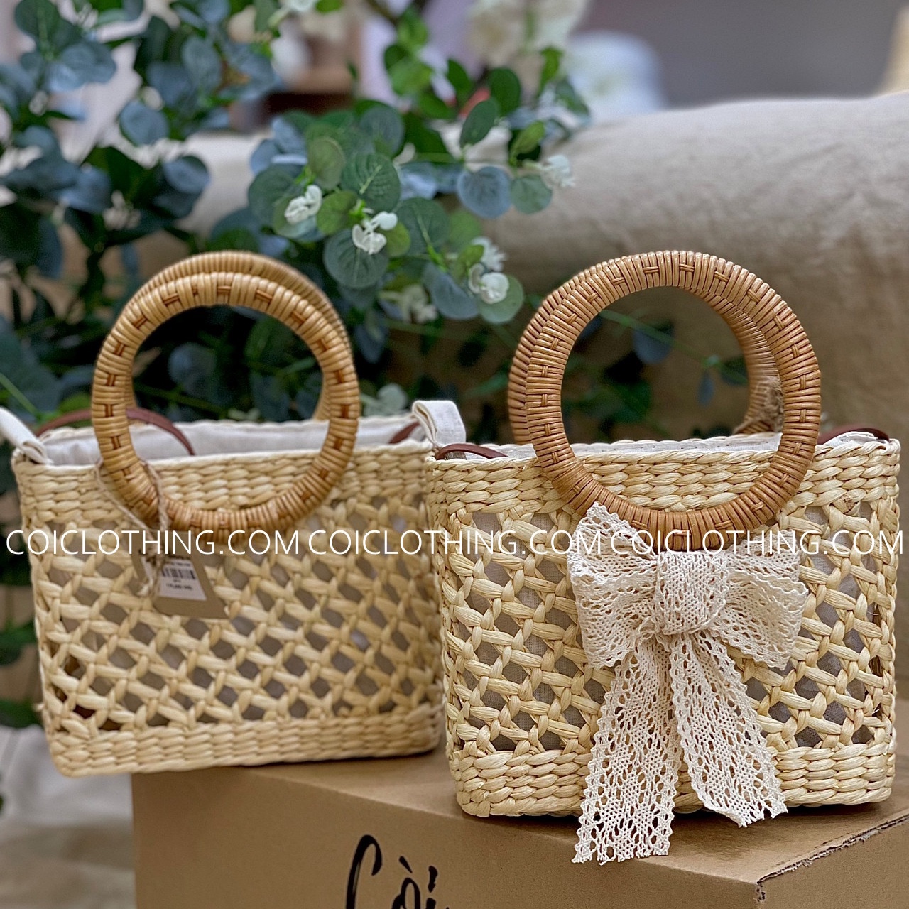 Lục bình ngang đan thưa