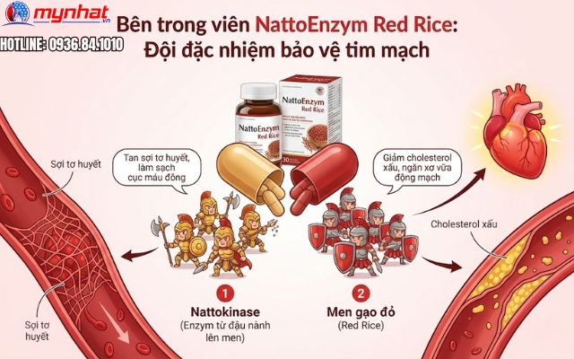 Bên trong viên NattoEnzym Red Rice có những gì giúp bảo vệ tim mạch?