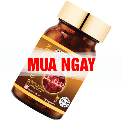 Biken Kinase Gold chính hãng của Nhật Bản mua ở đâu?