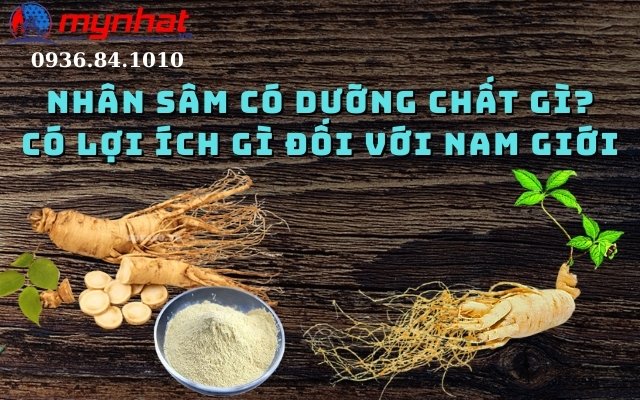 Nhân sâm có dưỡng chất gì? có lợi ích gì đối với nam giới