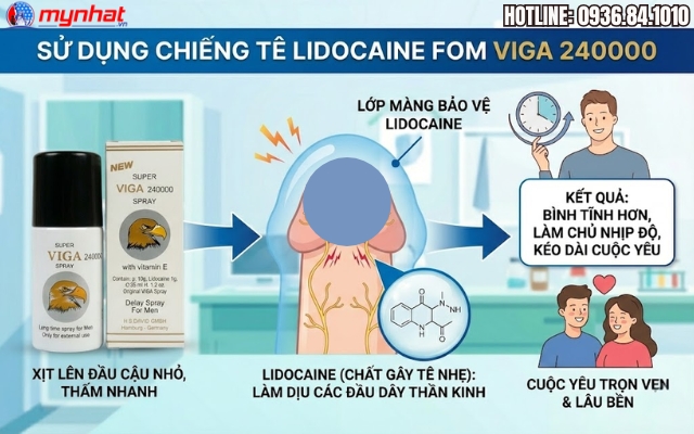 Thành phần chính trong  Viga 240000