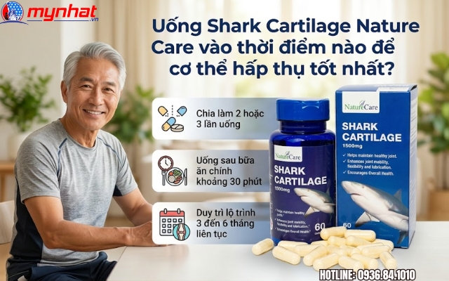 Uống Shark Cartilage Nature Care vào thời điểm nào để cơ thể hấp thụ tốt nhất