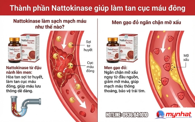 Thành phần trong NattoEnzym Red Rice giúp làm tan cục máu đông