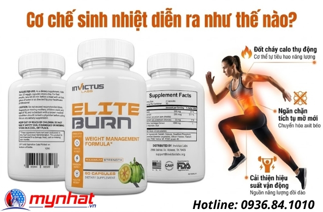 cơ chế sinh nhiệt diễn ra như thế nào