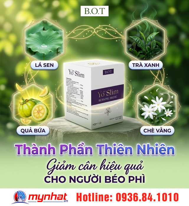 Thành phần của viên uống Yo Slim