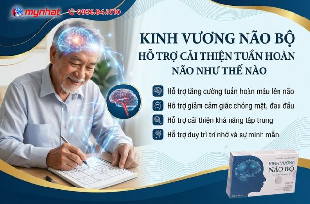 Kinh Vương Não Bộ Hỗ Trợ Cải Thiện Tuần Hoàn Não Như Thế Nào
