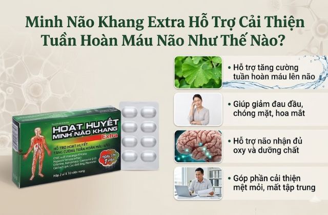 Minh Não Khang Extra Hỗ Trợ Cải Thiện Tuần Hoàn Máu Não Như Thế Nào?