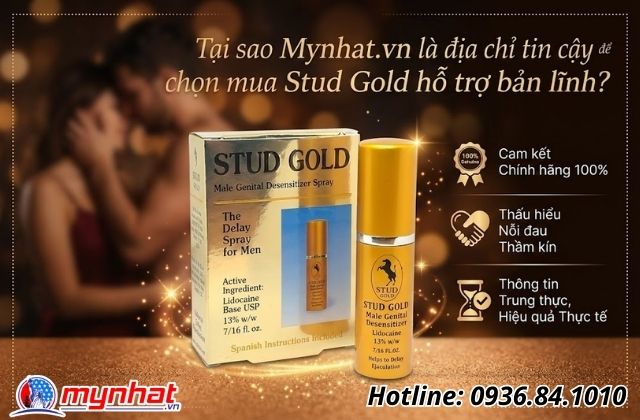 Tại sao Mynhat.vn là địa chỉ tin cậy để bạn chọn mua Stud Gold hỗ trợ bản lĩnh?