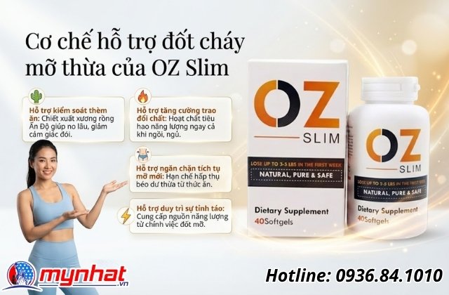 Cơ chế hỗ trợ đốt cháy mỡ thừa của OZ Slim