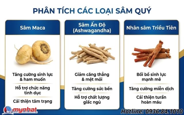 Phân tích các loại sâm quý có trong công thức của Sex Bomb For Him