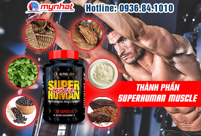 Thành phần chính SUPERHUMAN MUSCLE