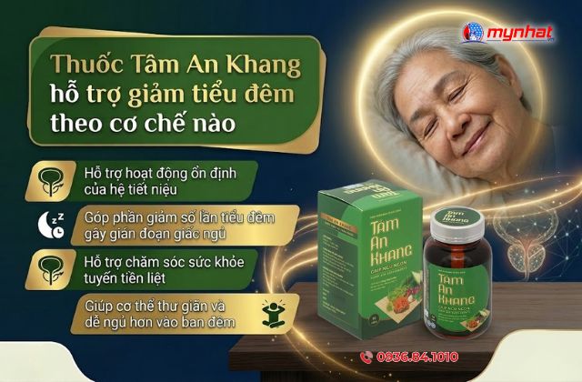 Vì sao nhiều người sử dụng Tâm An Khang để hỗ trợ tiểu đêm