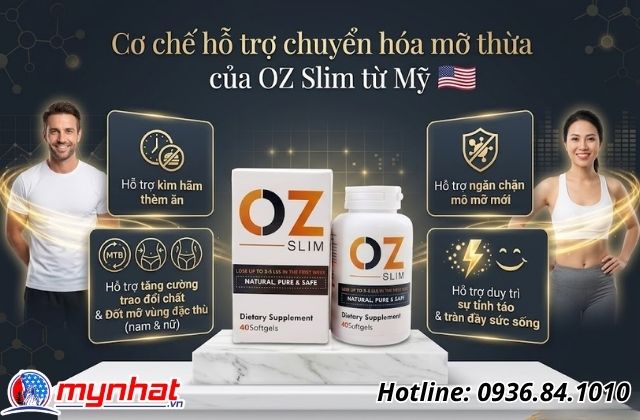 Cơ chế hỗ trợ chuyển hóa mỡ thừa của OZ Slim từ Mỹ