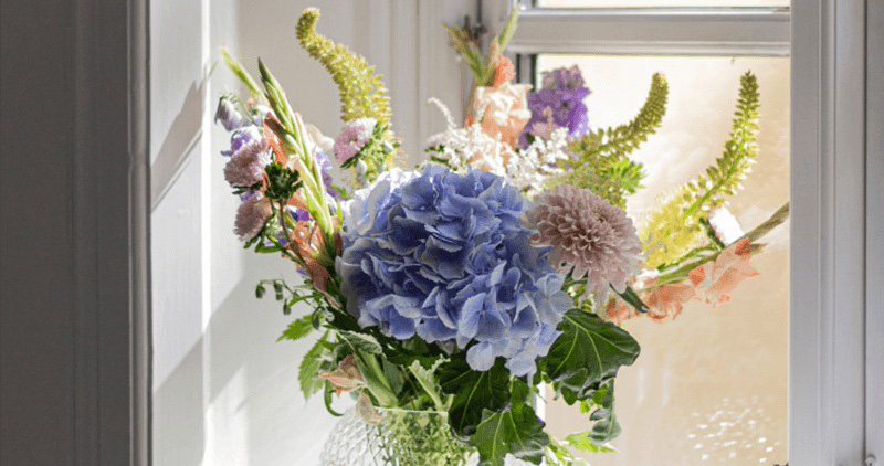 Những loài hoa đẹp và dễ trồng nhất cho nhà phố