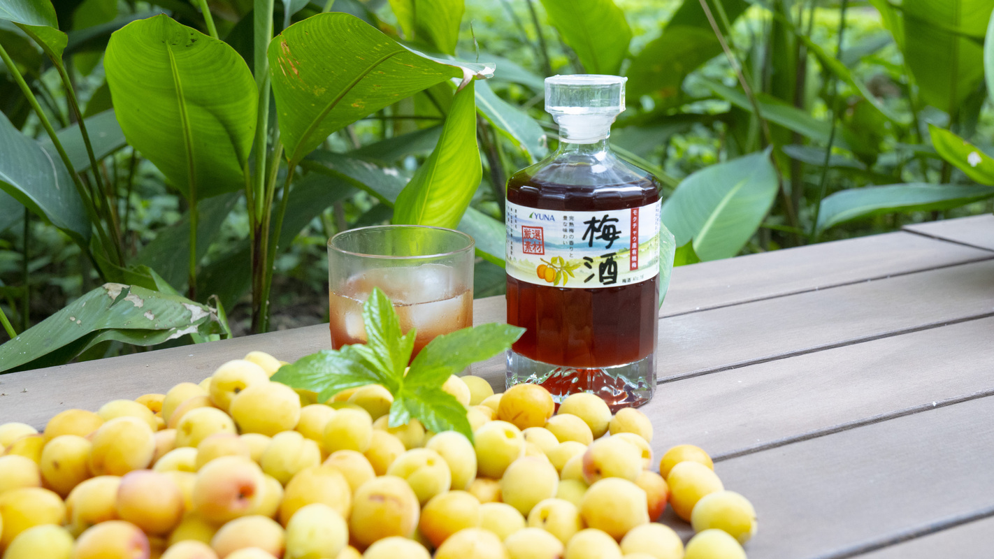 Rượu mơ trong ẩm thực Nhật Bản