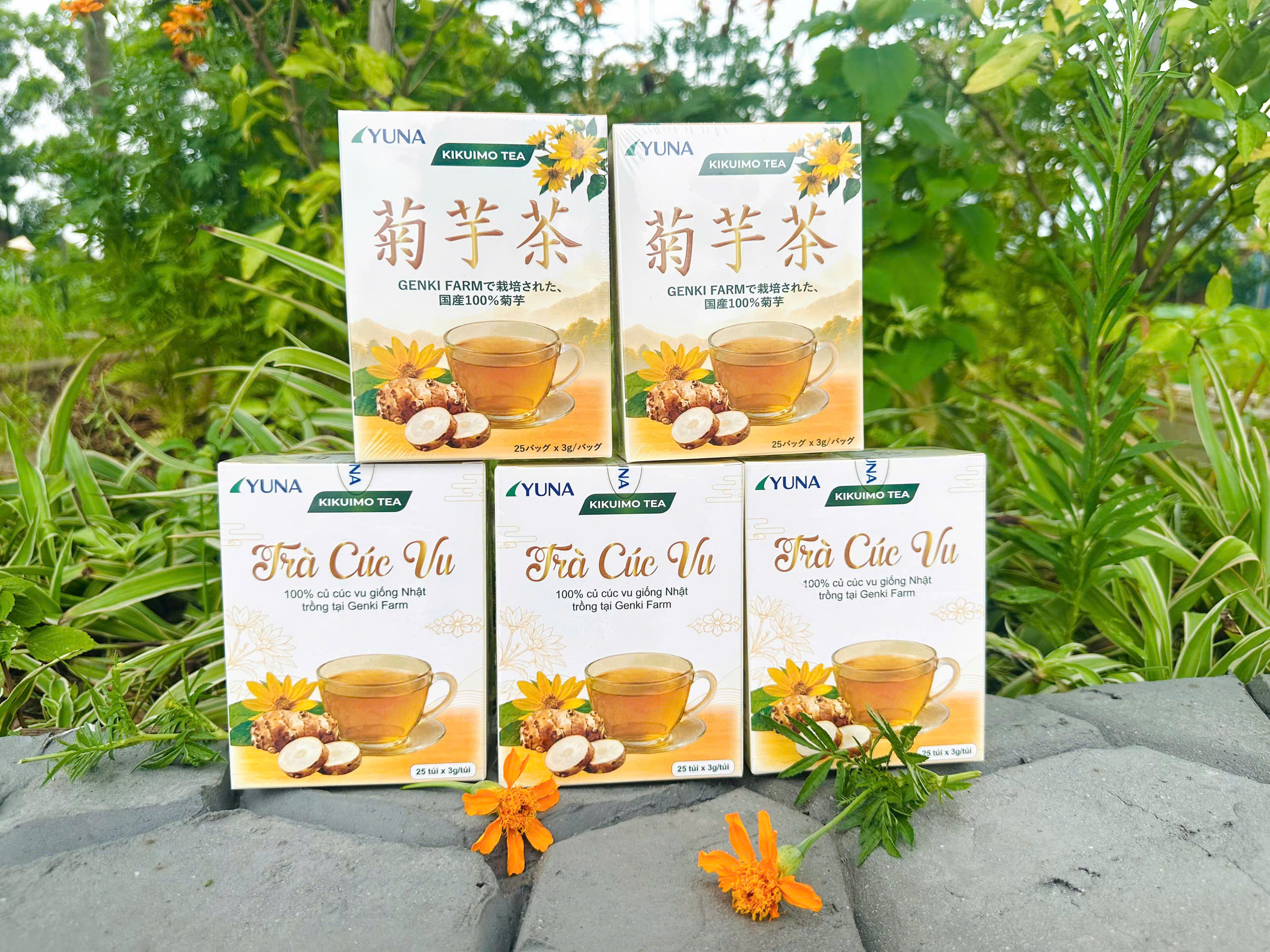 Trà Cúc Vu GENKI FARM Nhật Bản
