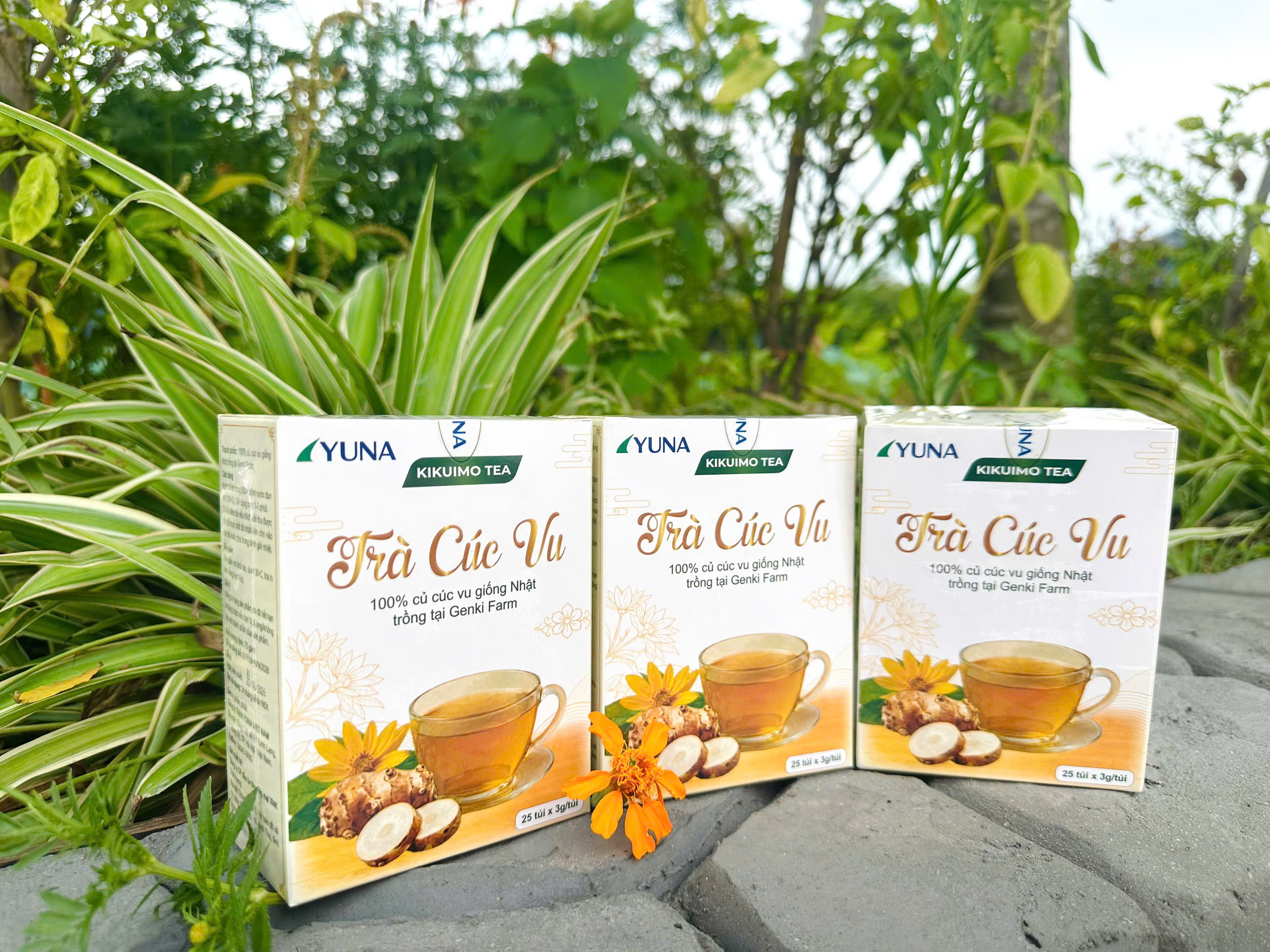 Trà Cúc Vu GENKI FARM Nhật Bản