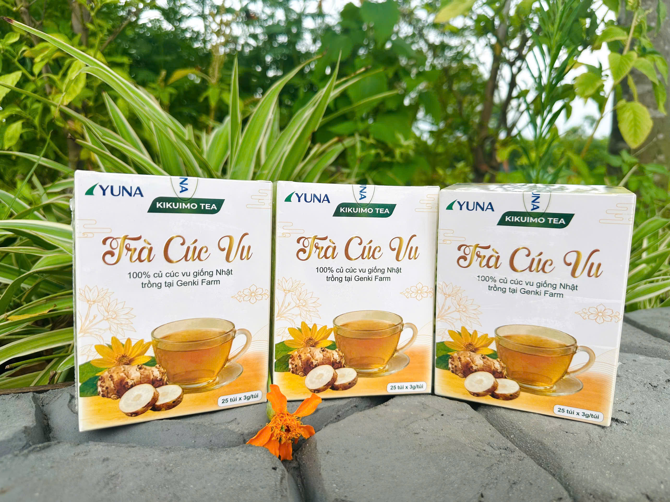 Trà Cúc Vu GENKI FARM Nhật Bản