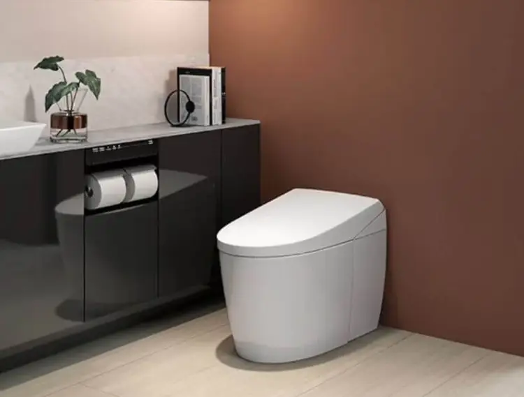 bon cau TOTO CES9720