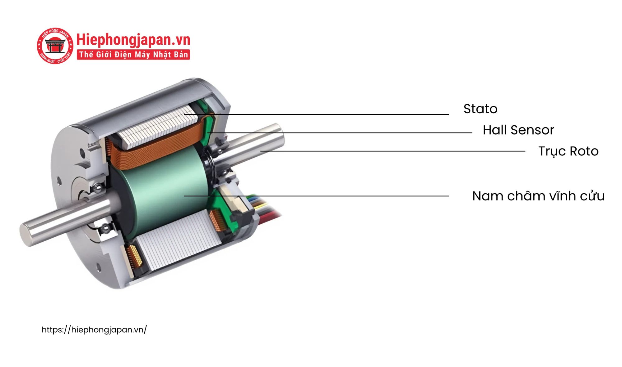 Cấu tạo động cơ BLDC