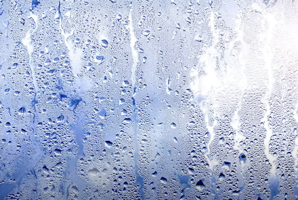 5 Cách khắc phục hiện tượng nồm ẩm hiệu quả