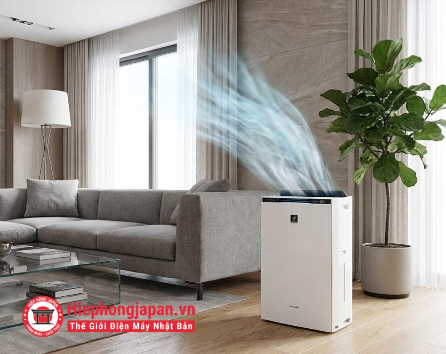 Có nên mua máy lọc không khí kèm hút ẩm không?