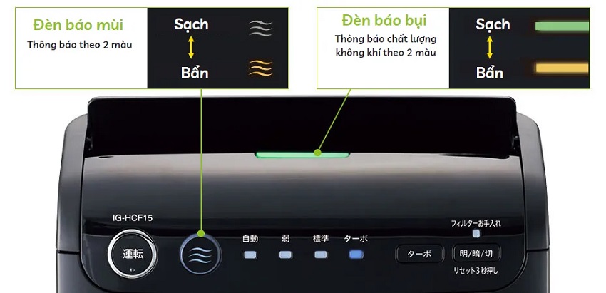 den bao mui, bui
