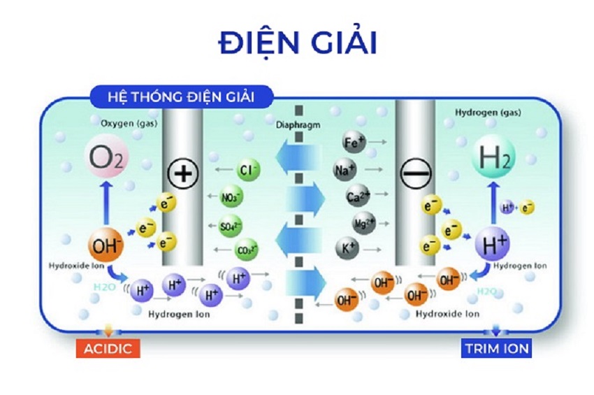 he thong dien giai trim ion ti 9000