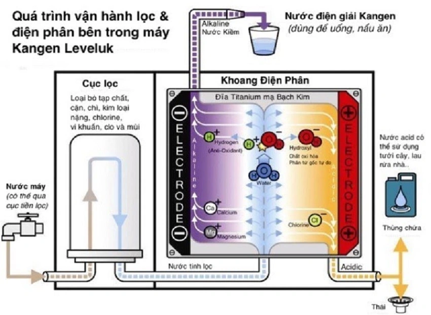 nuoc dien giai kangen leveluk sd501