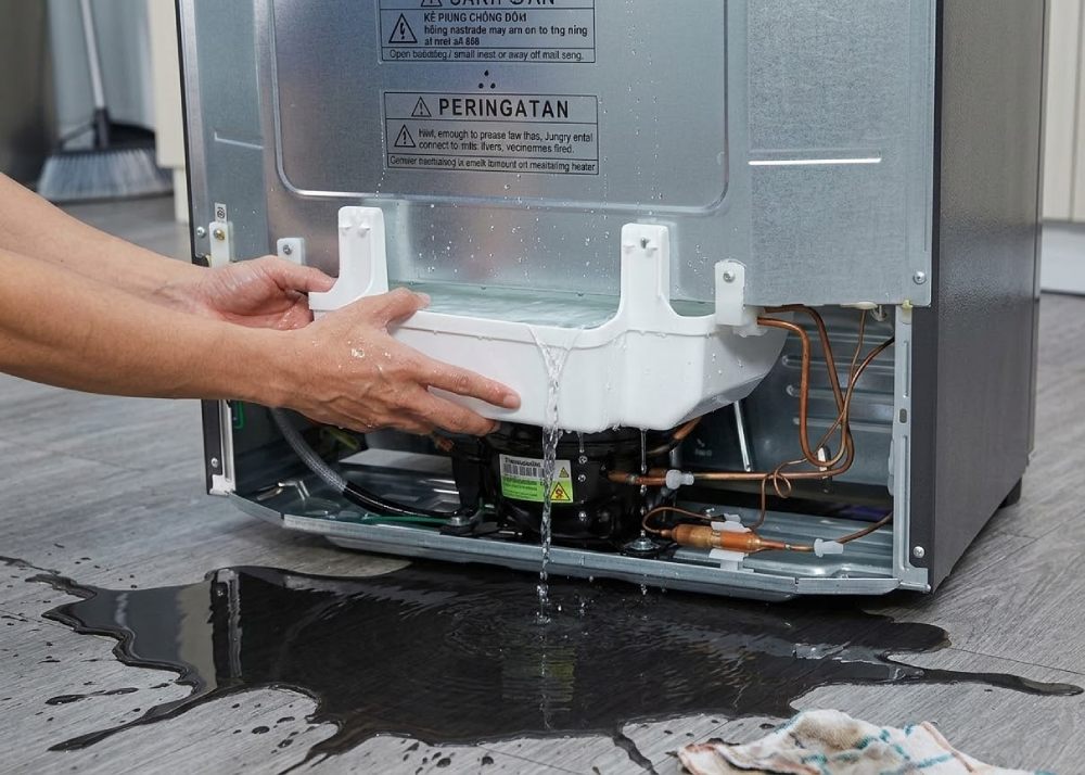 Tủ lạnh bị chảy nước từ khay nước phía sau