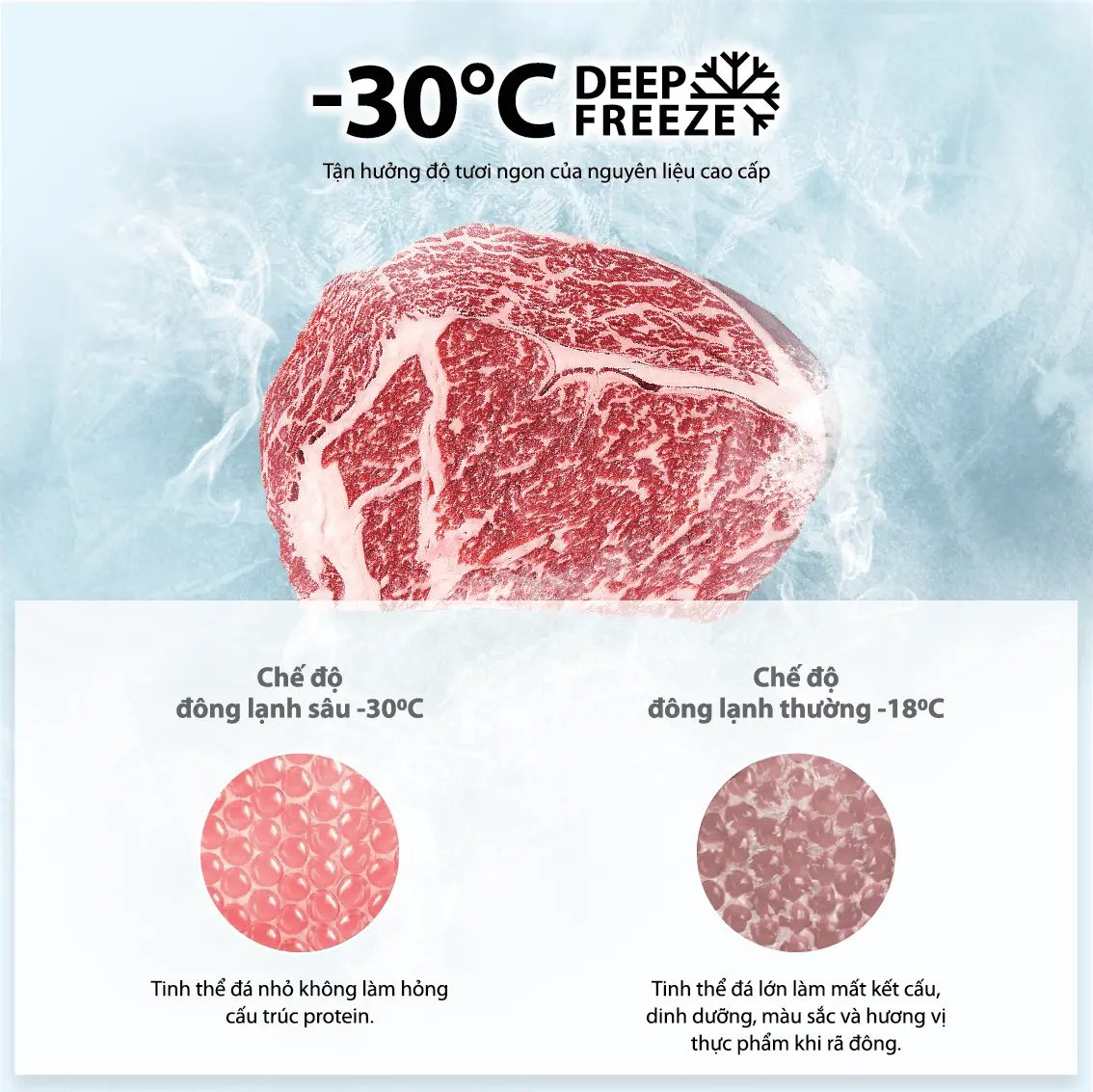 Ngăn đông sâu -30°C