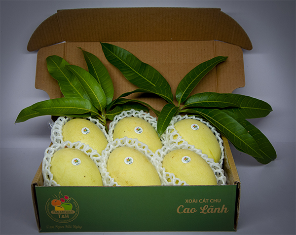 Xoài Cát Chu Cao Lãnh