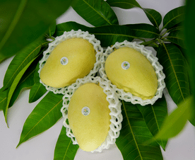 Chuyển đổi số