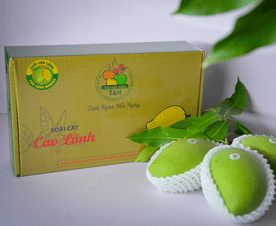 Chỉ dẫn địa lý